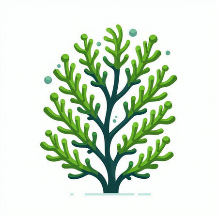 Coral icon isolated on white background. Underwater plant. Vector illustration.のイラスト素材