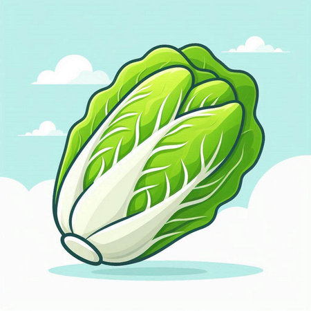 Illustration of a fresh chinese cabbage on a blue sky backgroundのイラスト素材