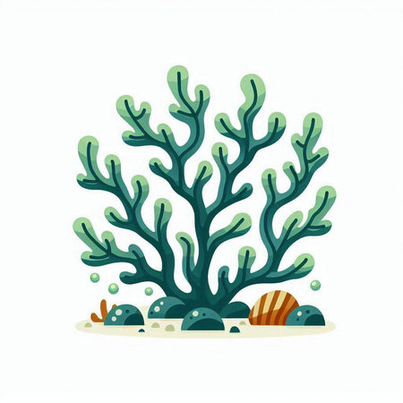 Coral vector illustration. Underwater plants. Underwater life. Marine life.のイラスト素材
