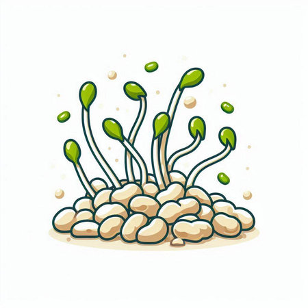 Illustration of microgreens. Vector illustration of microgreens.のイラスト素材