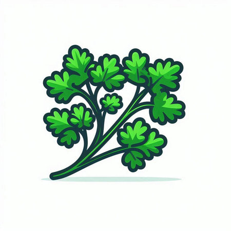 Parsley icon. Vector illustration. Isolated on white background.のイラスト素材