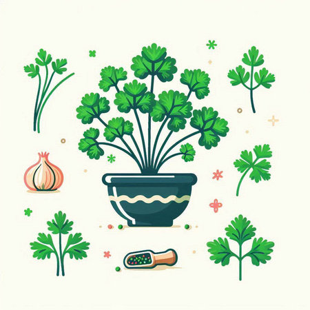 Parsley in a pot. Vector illustration in flat style.のイラスト素材