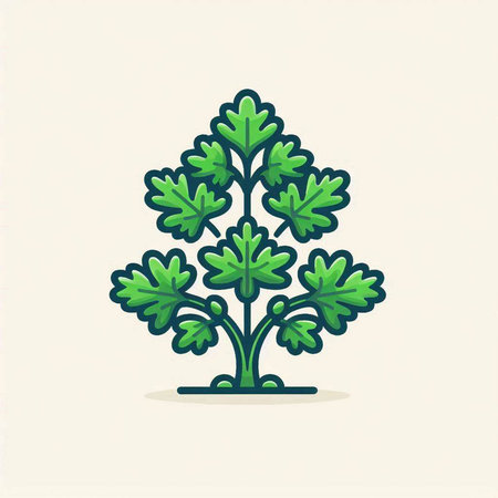 Parsley icon. Vector illustration of a parsley plant.のイラスト素材