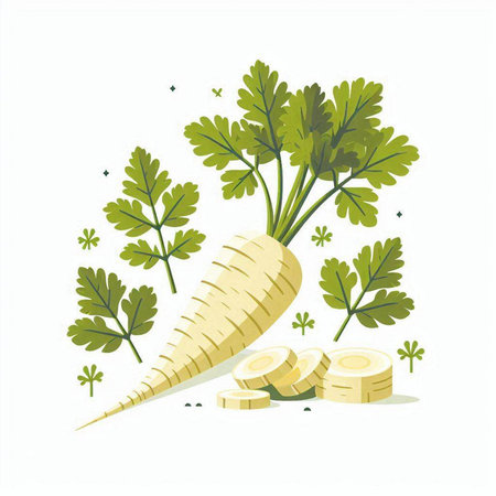 Carrot and parsley on a white background. Vector illustration.のイラスト素材