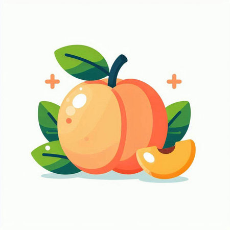 Peach fruit vector illustration, flat cartoon style. Isolated on white background.のイラスト素材