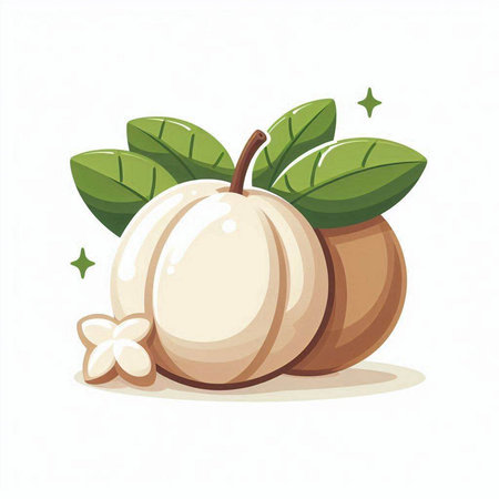 Pumpkin with leaves. Vector illustration isolated on white background.のイラスト素材