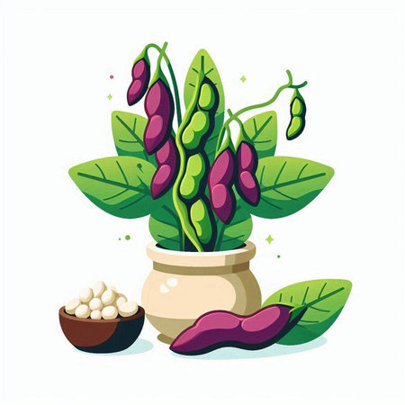 Illustration of soybeans in a clay pot. Vector illustration.のイラスト素材