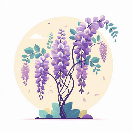 Wisteria flowers. Vector illustration. Blooming wisteria.のイラスト素材