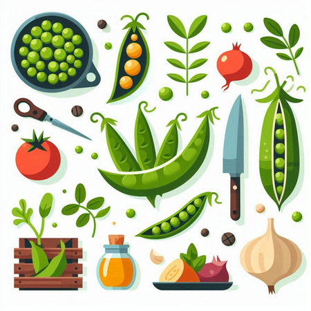 Set of green peas, pea pods, tomatoes, garlic, pepper, parsley, olive oil. Vector illustration.のイラスト素材