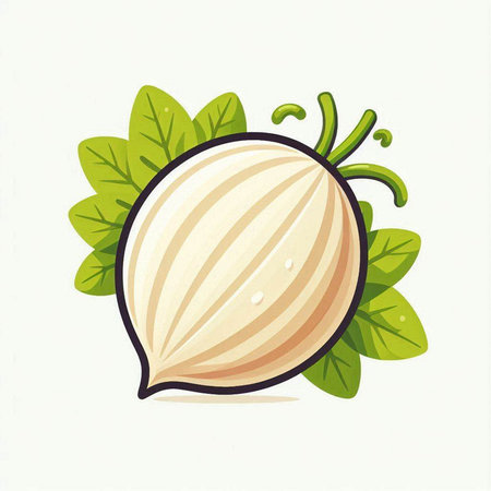 Illustration of a white onion with green leaves on a white backgroundのイラスト素材