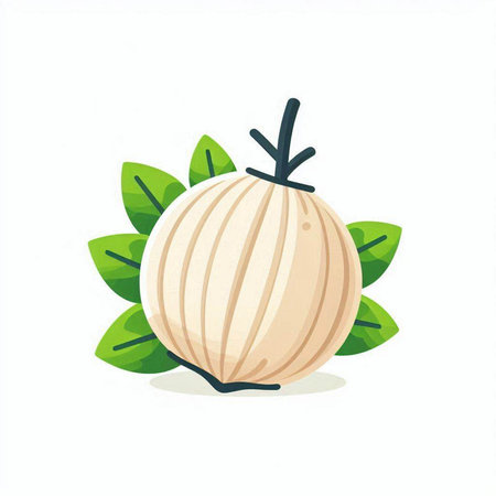Onion vector illustration. Vegetarian food. Isolated on white background.のイラスト素材
