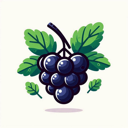 Grapes with leaves on a white background. Vector illustration.のイラスト素材