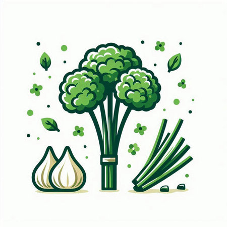 Illustration of broccoli, garlic and green leaves. Vector illustration.のイラスト素材