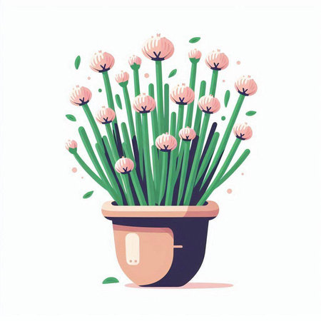 Flowerpot with pink chamomile flowers. Vector illustrationのイラスト素材
