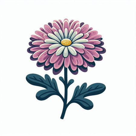 Pink chrysanthemum isolated on white background. Vector illustration.のイラスト素材