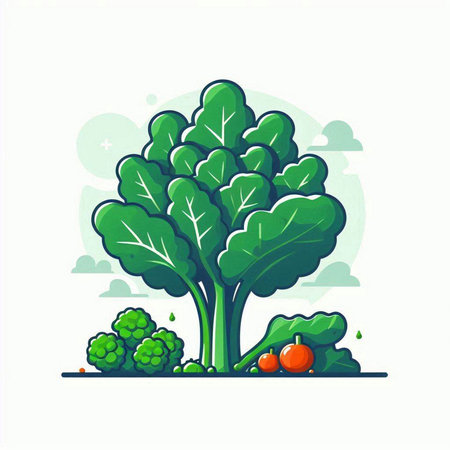 Vegetable vector illustration. Broccoli, tomato and broccoli.のイラスト素材