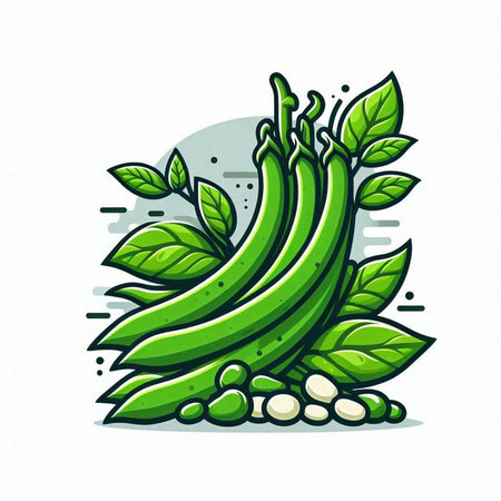 Green beans with leaves. Vector illustration isolated on a white background.のイラスト素材