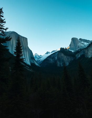 Close-up of a grilled steak on a white plate in a restaurantの写真素材