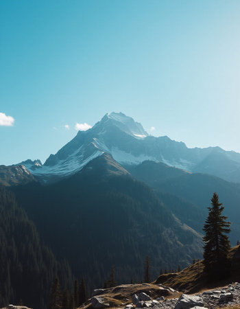 Mountain landscape with snow-capped peaks and coniferous forestの写真素材