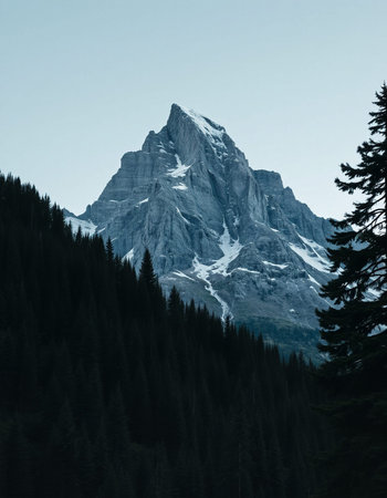 Mountain landscape with snow and coniferous forest in the foreground