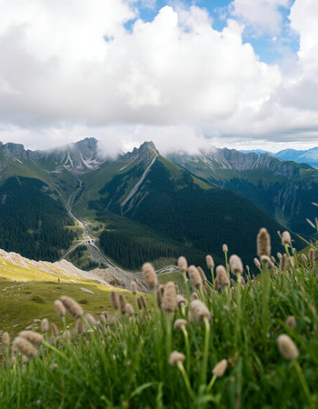 Mountain landscape with green grass and blue sky with clouds in summer