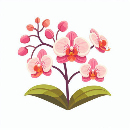 Pink orchid flowers isolated on white background. Vector illustration in cartoon style.のイラスト素材