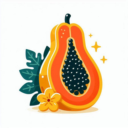 Papaya fruit and flowers on white background. Vector illustration.のイラスト素材