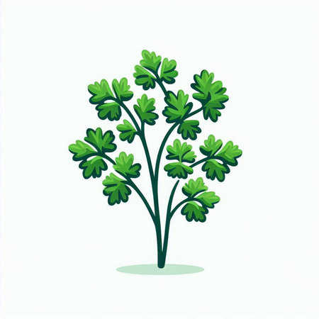 Parsley icon isolated on white background. Vector Illustration.のイラスト素材