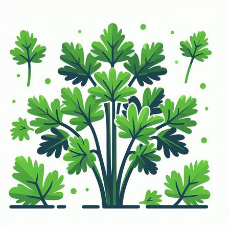Parsley. Vector illustration on a white background. Flat style.のイラスト素材
