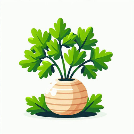 Parsley in a vase on a white background. Vector illustration.のイラスト素材