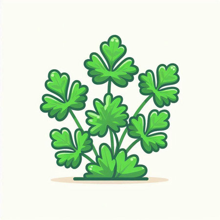 Parsley. Vector illustration of a bunch of parsley.のイラスト素材