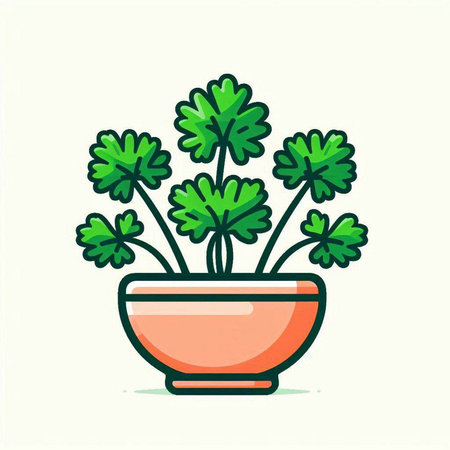 Parsley in a pot. Vector illustration, flat design.のイラスト素材