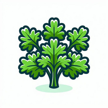Parsley icon. Cute cartoon style. Vector illustration.のイラスト素材