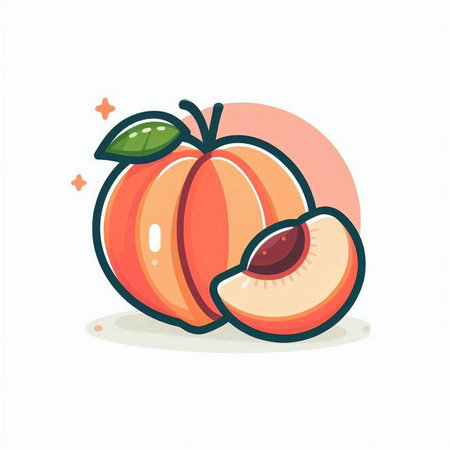 Peach fruit vector illustration. Isolated on a white background.のイラスト素材