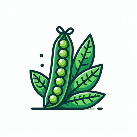 Green peas with leaves isolated on white background. Vector illustration in flat style.のイラスト素材