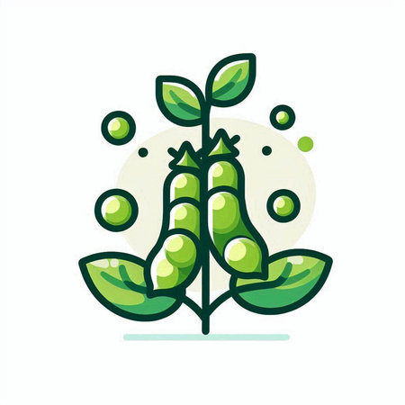 Soybean pods with green leaves and bubbles. Vector illustration.のイラスト素材