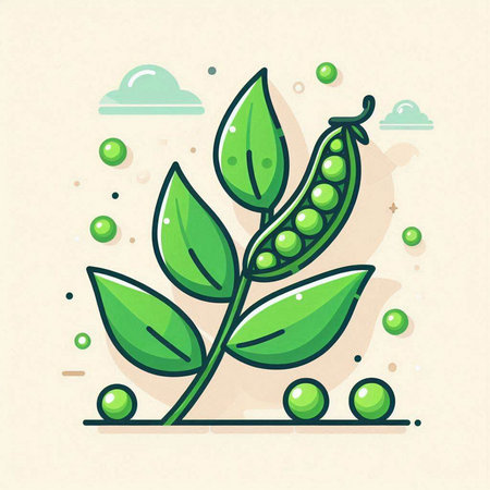 Green pea branch with green leaves and seeds. Vector illustration.のイラスト素材