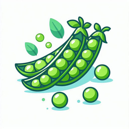 Green peas with leaves on a white background. Vector illustration in cartoon style.のイラスト素材