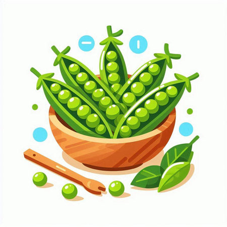 Green peas in wooden bowl with green leaves and cinnamon. Vector illustrationのイラスト素材