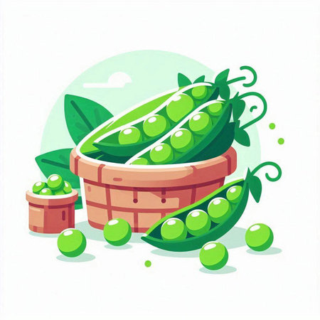 Fresh green peas in a basket. Vector illustration on white background.のイラスト素材
