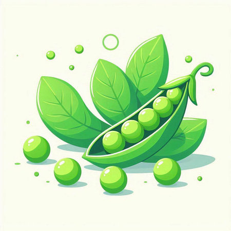 Green peas with green leaves on a white background. Vector illustration.のイラスト素材
