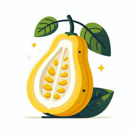 Papaya fruit with leaves isolated on white background. Vector illustration.のイラスト素材