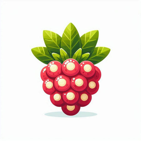 Raspberry fruit isolated on white background. Vector illustration in cartoon style.のイラスト素材