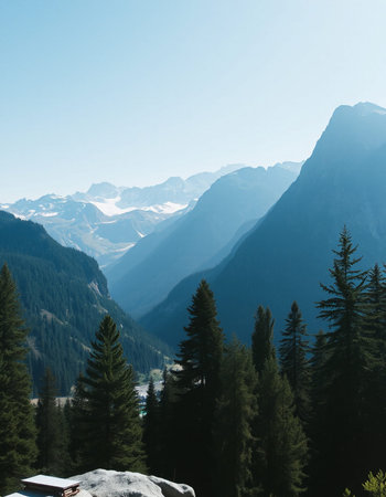Mountain landscape with fir forest and snow-capped peaks.
