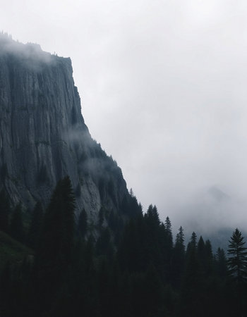 Yosemite National Park, California, United States of America.の写真素材