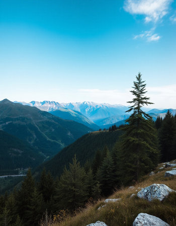 Beautiful mountain landscape with coniferous forest and blue sky.の写真素材