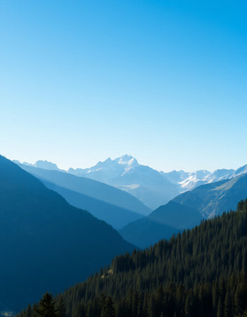 Mountain landscape with snow covered peaks and coniferous forest.の写真素材
