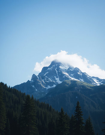 Mountain landscape with coniferous forest and snow-capped peaksの写真素材