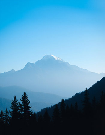 Mt. Rainier in the morning, Washington State, USAの写真素材