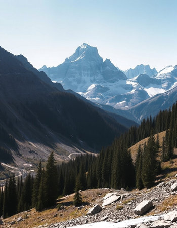 Mountain landscape with snow covered peaks and coniferous forest.の写真素材